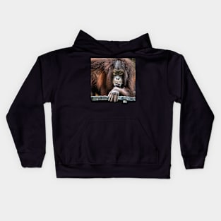 You Looking At Me?? Orangutan, Sepilok, Borneo Kids Hoodie